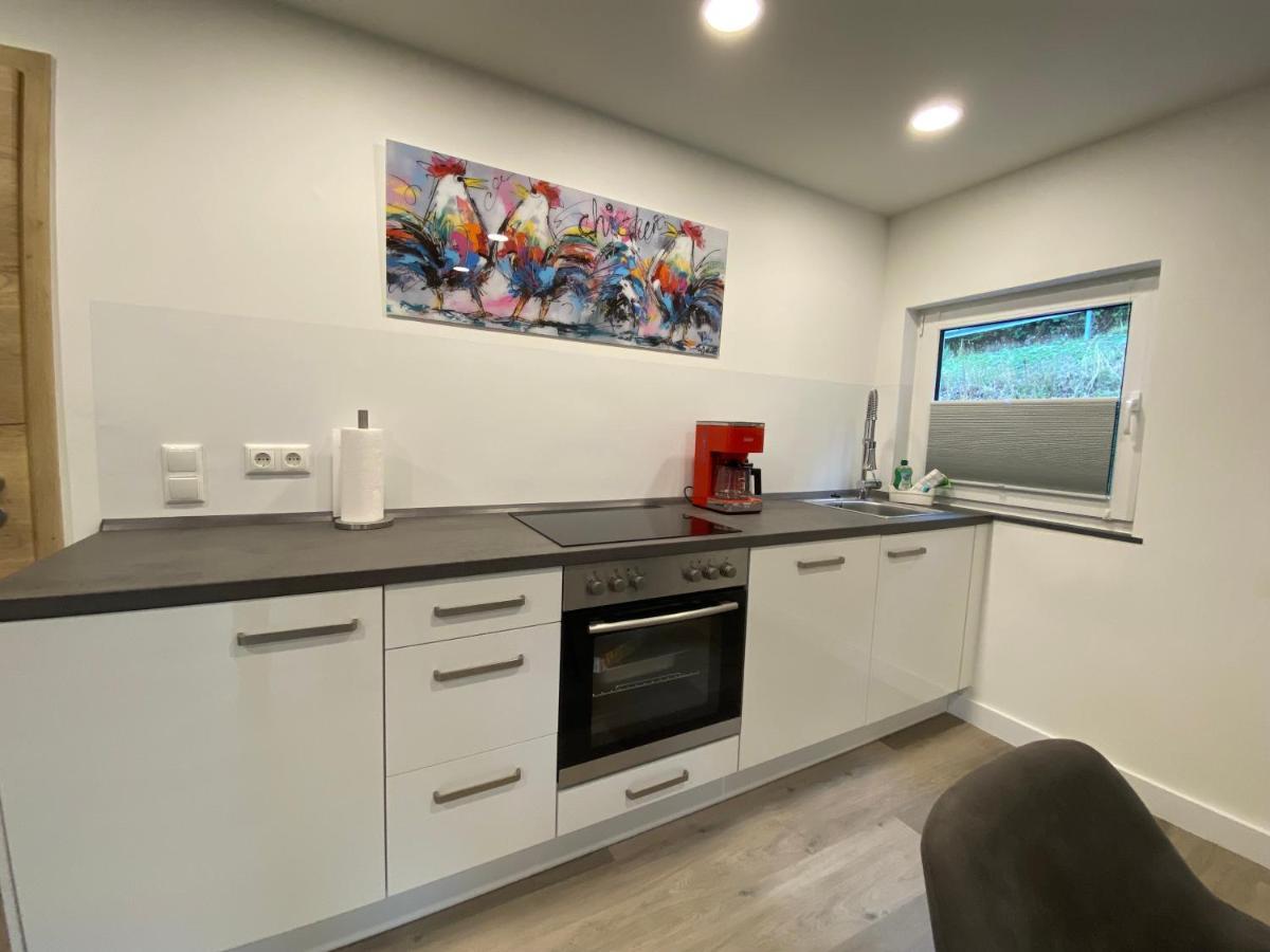 Apartament Haus Am Iberg 4 Willingen  Zewnętrze zdjęcie