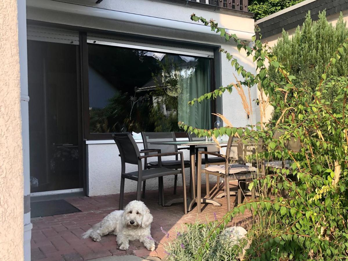 Apartament Haus Am Iberg 4 Willingen  Zewnętrze zdjęcie